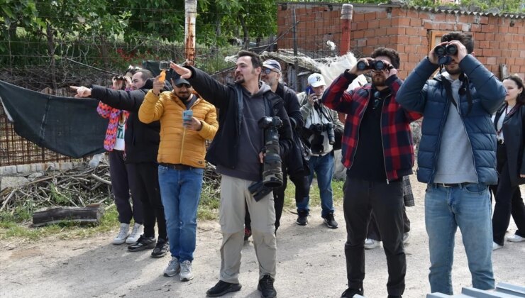 Çanakkale Doğa ve Kuş Göç Festivali