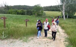 Çanakkale Savaşları’ndaki ilk karargahın bulunduğu bölgede ‘Mustafa Kemal Yolu’ projesi