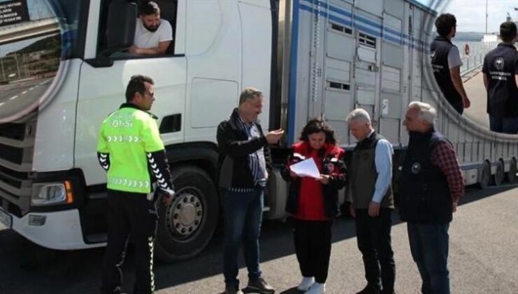 Çanakkale’de Kurban Bayramı öncesi canlı hayvan nakil araçları denetleniyor