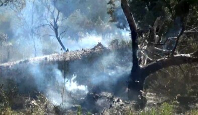 Çanakkale’de Tarım Arazisinde Başlayan Yangın Kontrol Altına Alındı