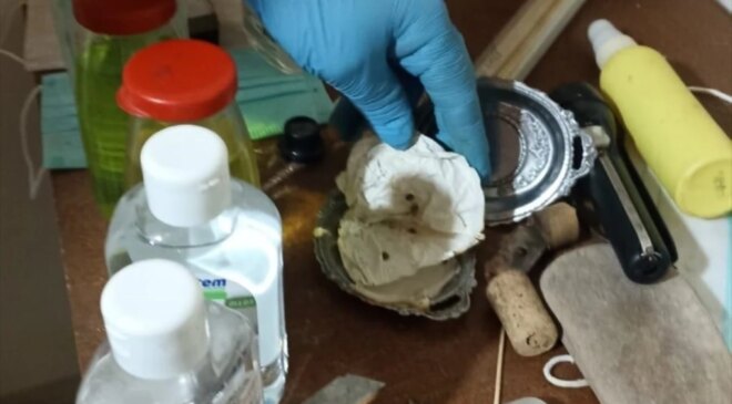 Çanakkale’de Uyuşturucu Operasyonu: 10 Kök Kenevir ve 110 Gram Skunk Ele Geçirildi