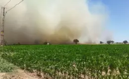 Çanakkale’de orman yangını
