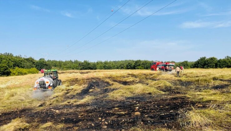 Çanakkale’de çıkan anız yangını ormanlık alana sıçramadan söndürüldü
