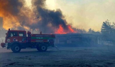 Çanakkale’de çıkan yangın çimento fabrikasına sıçradı