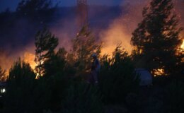 Çanakkale’de çıkan yangın kısmen kontrol altına alındı