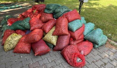 Çanakkale’de Kaçak Yollarla Avlanan 3 Ton Kum Şırlanı Ele Geçirildi