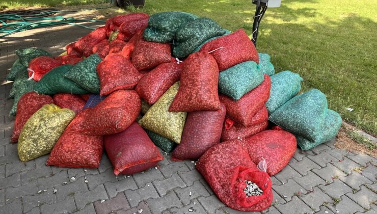 Çanakkale’de Kaçak Yollarla Avlanan 3 Ton Kum Şırlanı Ele Geçirildi