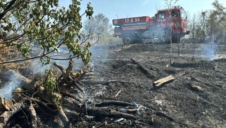 Çanakkale’de Köyde Çıkan Ot Yangını Kontrol Altına Alındı
