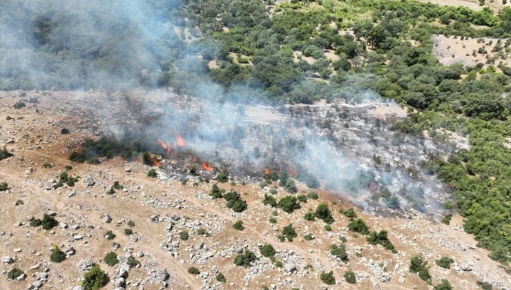 Çanakkale’de makilik alanda çıkan yangın söndürüldü