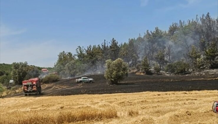 Çanakkale’de Orman Yangını Söndürme Çalışmaları Başlatıldı