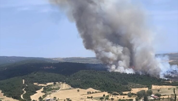 Çanakkale’de Orman Yangını Söndürme Çalışmaları Devam Ediyor