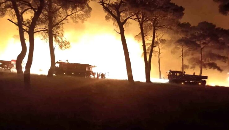 Çanakkale’de Tarım Arazisinde Başlayan Yangın Kontrol Altına Alındı