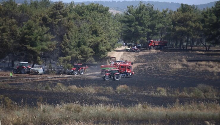 Çanakkale’de Tarım Arazisinde Çıkan Yangın Söndürüldü