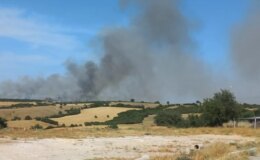 Çanakkale’de Tarım Arazisinde Çıkan Yangın Söndürülmeye Çalışılıyor