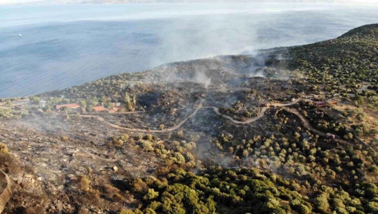 Yangında Assos Ören Yeri zarar gördü