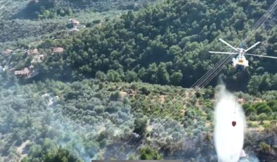 Çanakkale’deki Zeytinlik Yangını Kontrol Altına Alındı