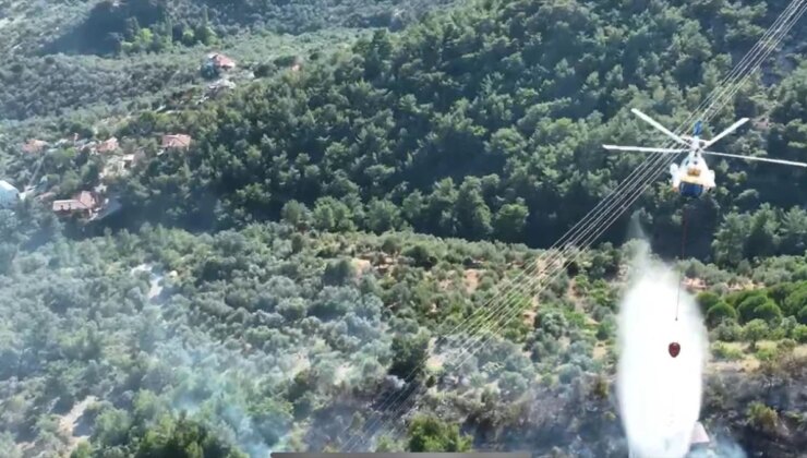 Çanakkale’deki Zeytinlik Yangını Kontrol Altına Alındı