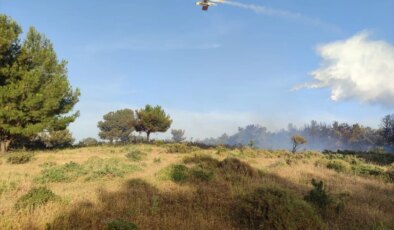 Çanakkale’nin Bayramiç ilçesinde orman yangını kontrol altına alındı