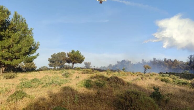 Çanakkale’nin Bayramiç ilçesinde orman yangını kontrol altına alındı