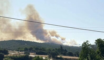 Çanakkale’nin Biga ilçesinde çıkan orman yangını kontrol altına alındı