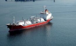LPG ithalatı martta yeniden artışa geçti