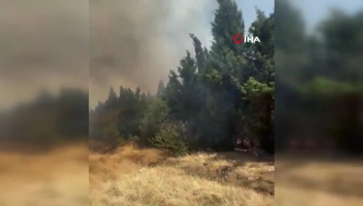Bayramiç’teki orman yangını 24 saat sonra kontrol altına alındı