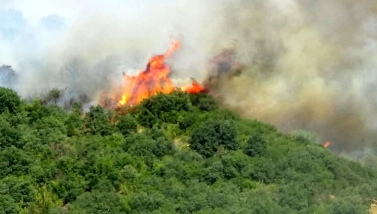Çanakkale’de Orman Yangını Kontrol Altına Alındı