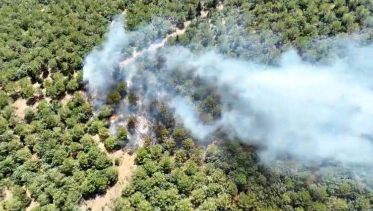 Çanakkale’de Orman Yangınına Havadan ve Karadan Müdahale