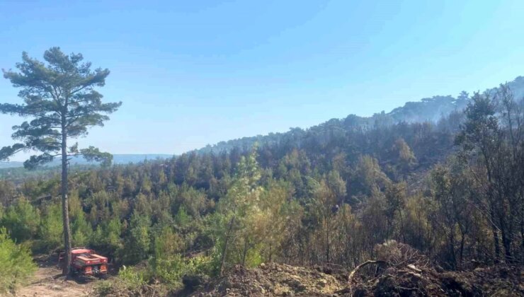 Çanakkale’deki Orman Yangını Kontrol Altına Alındı