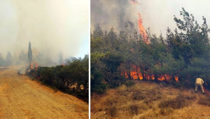 Çanakkale’de orman yangını! Şehitlik ve Conkbayırı ziyarete kapatıldı