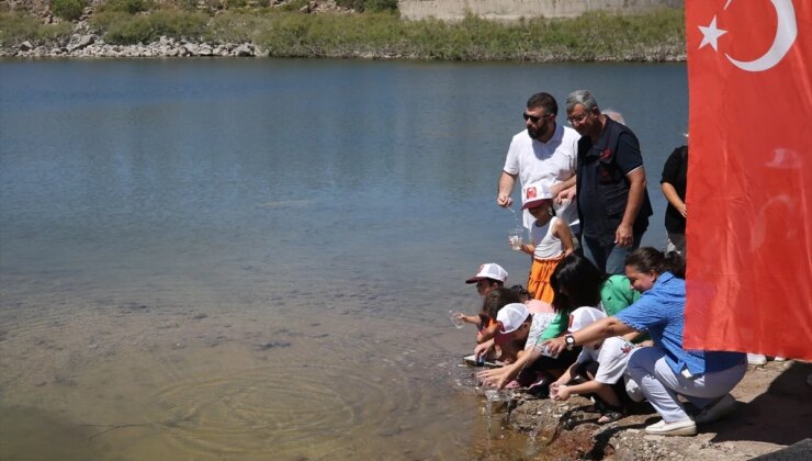 Çanakkale’deki baraj ve göletlere 1 milyon 750 bin sazan yavrusu salındı
