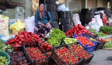 Çanakkale’nin Bayramiç ilçesinde organik meyve ve sebzeler pazarda satılıyor