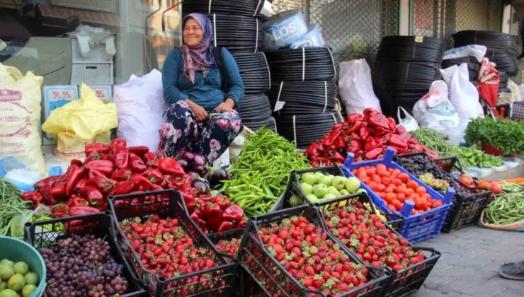 Çanakkale’nin Bayramiç ilçesinde organik meyve ve sebzeler pazarda satılıyor