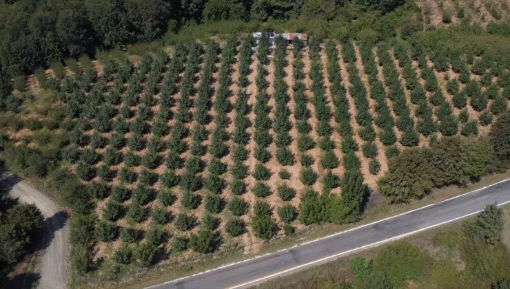 Emekli İtfaiye Eri Güneş Enerjisi ile Tasarruf Sağladı