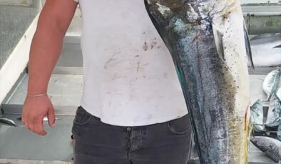 Gelibolu’da Balıkçıdan Rekor Av: 11 Kilogram Lambuka ve Kılıç Balığı