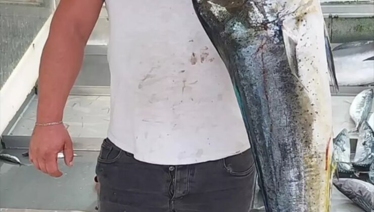 Gelibolu’da Balıkçıdan Rekor Av: 11 Kilogram Lambuka ve Kılıç Balığı