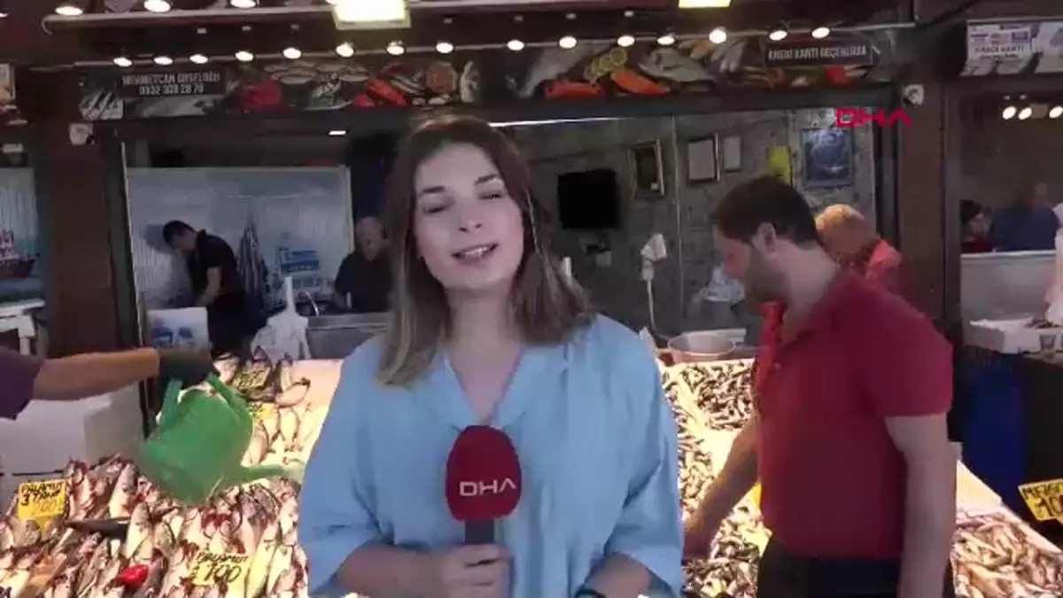 Karadeniz’de Balık Bereketi Başladı
