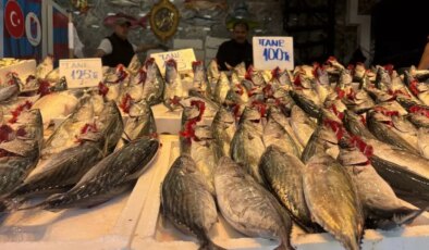 Karadeniz’de Balık Bereketi: Palamut Fiyatları Normal Seyrediyor