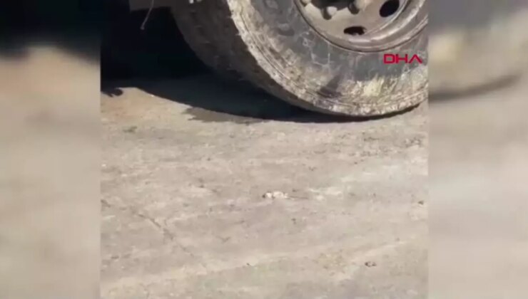 Salça Üretimi Yapan İşletmenin Faaliyetleri Askıya Alındı