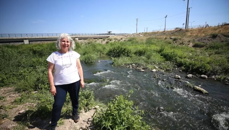 Yılan Balığı Neslinin Devamı İçin Akarsuların Korunması Çağrısı