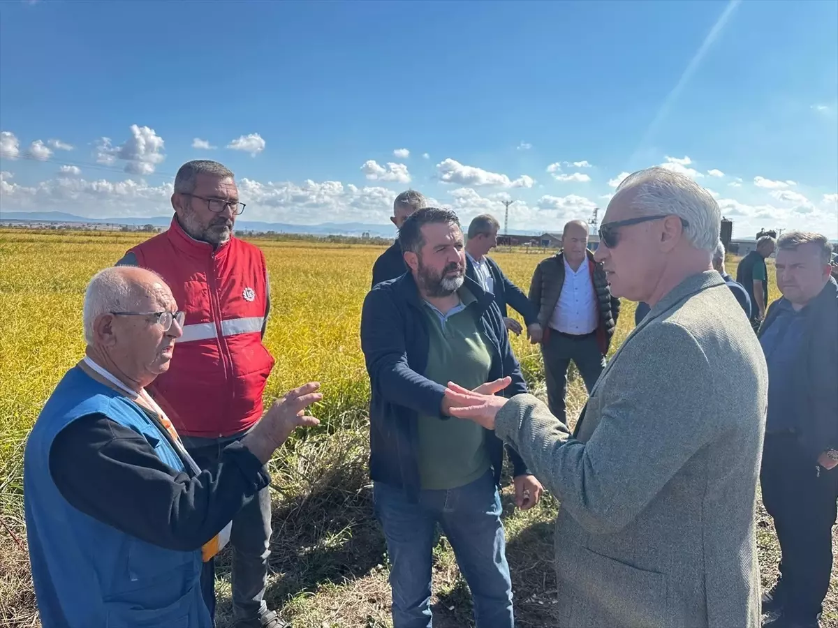 Çanakkale Biga’da Dolu Yağışı Sonrası Tarım Arazilerinde Büyük Zarar