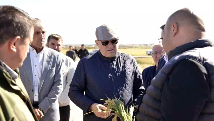 Çanakkale Milletvekili Gider, Dolu Zararını İnceledi