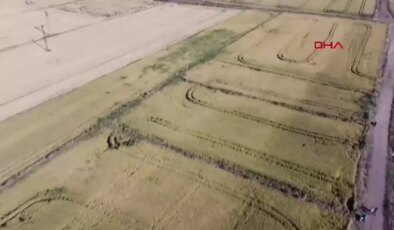 ÇANAKKALE TZOB Genel Başkanı Bayraktar: Biga’da 45 bin dekar alanda zarar görünüyor