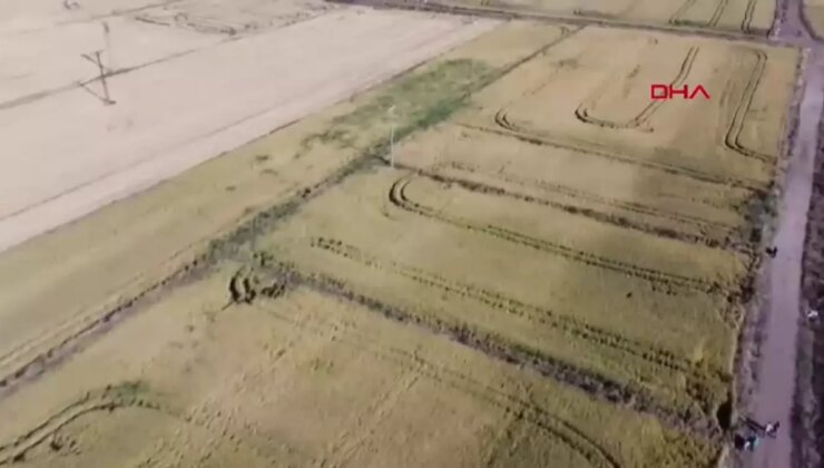 ÇANAKKALE TZOB Genel Başkanı Bayraktar: Biga’da 45 bin dekar alanda zarar görünüyor