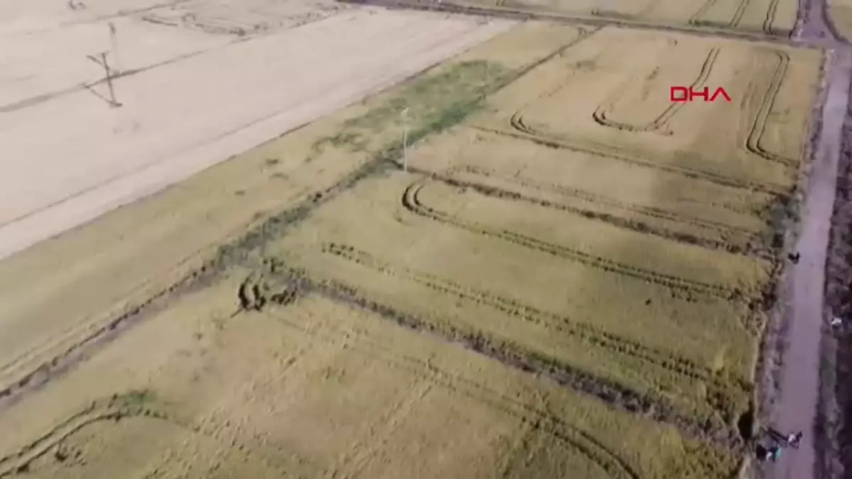 ÇANAKKALE TZOB Genel Başkanı Bayraktar: Biga’da 45 bin dekar alanda zarar görünüyor