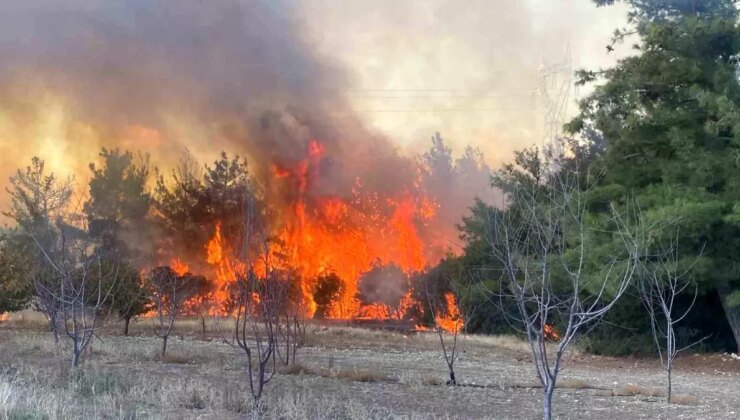 Çanakkale’de Bahçe Temizliği Sırasında Çıkan Orman Yangını: 2 Gözaltı
