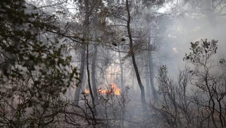 Çanakkale’de Orman Yangını Kontrol Altına Alındı