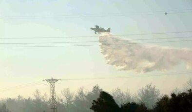 Çanakkale’de Orman Yangını Kontrol Altına Alındı