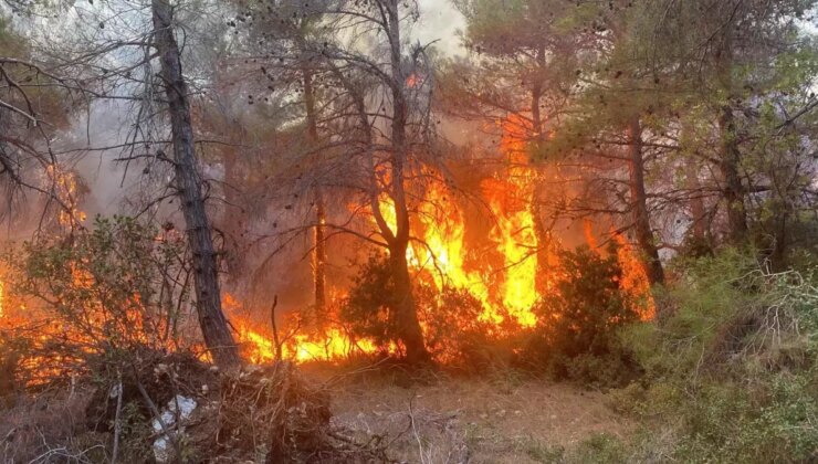 Çanakkale’de Orman Yangını: Müdahale Devam Ediyor