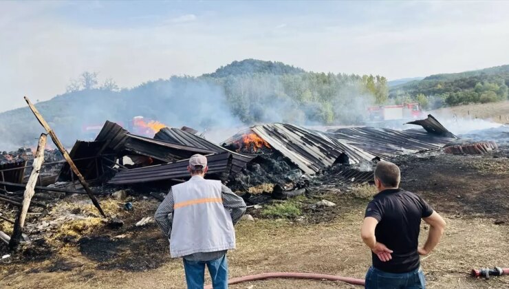 Çanakkale’de Samanlıkta Yangın: Bin Balya Saman Zarar Gördü